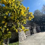 Guelpa * Lessona