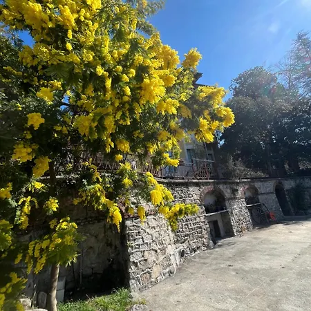 Guelpa * Lessona
