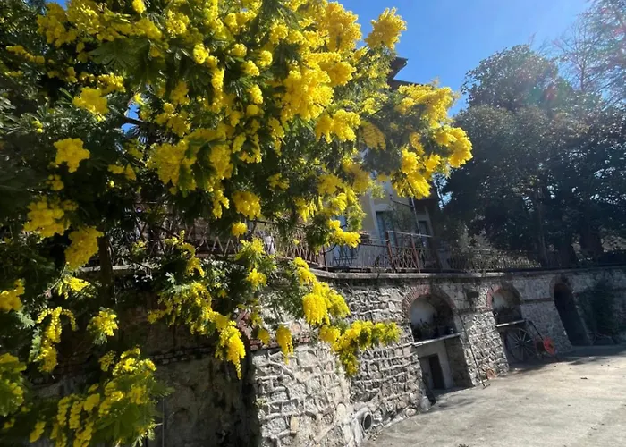 Guelpa * Lessona